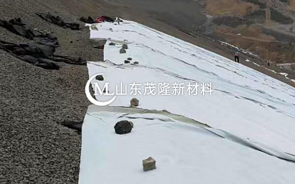 《銀西項(xiàng)目》排水板、復(fù)合土工膜施工