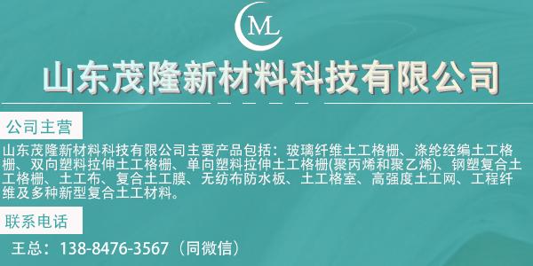 鋼塑土工格柵可以使道路路基材料更加堅固  第1張
